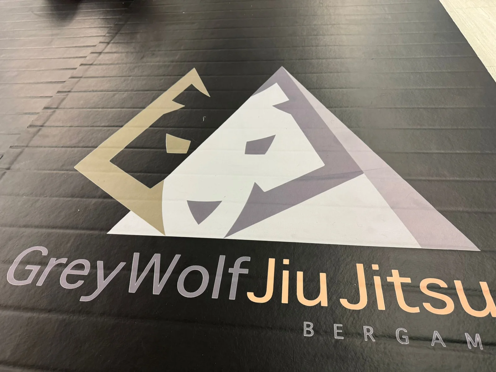 Historical Grey Wolf Jiu Jitsu mat image
